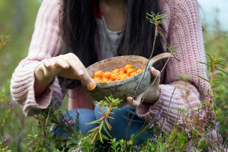 Rovaniemi: Wild Berry Picking and Juice Making - The Practicalities: Transport, Duration, and Cost