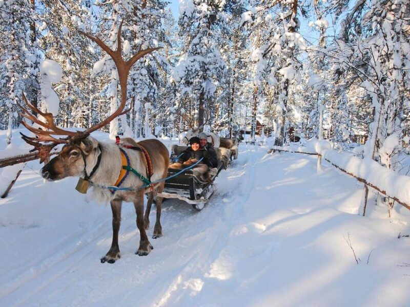 Rovaniemis Magical Christmas Tour: Santas Home - What’s Included and How It Enhances Your Experience
