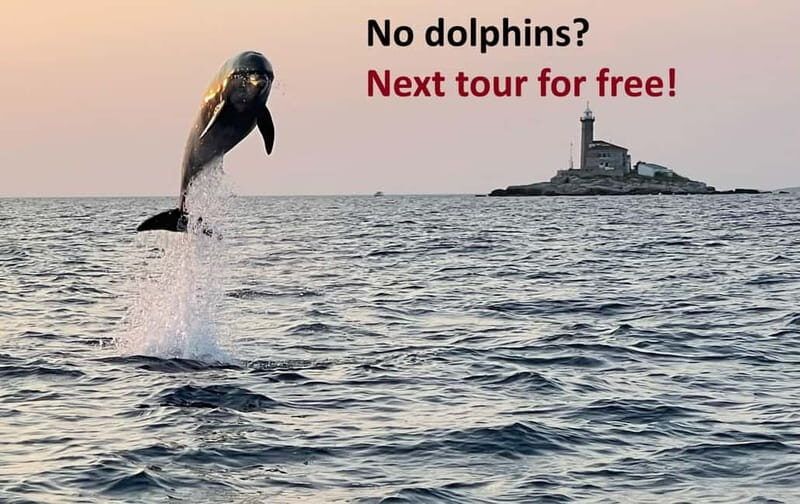 Rovinj: Dolphin Watching Sunset Speedboat Tour with Drinks - An Authentic Dolphin Watching Experience in Rovinj