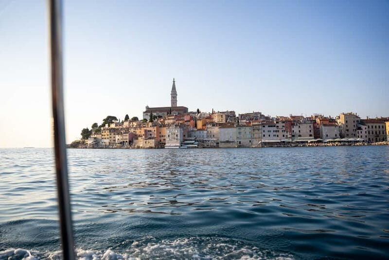 Rovinj: Dolphin Watching Sunset Speedboat Tour with Drinks - The Sum Up