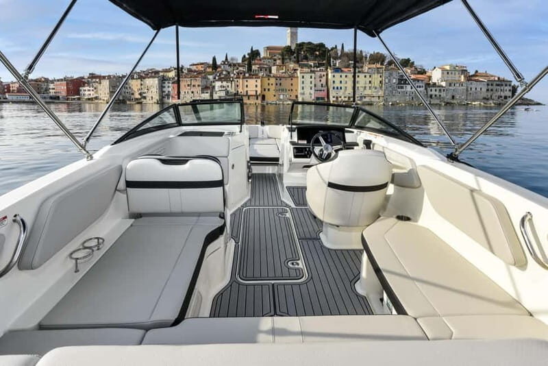 Rovinj: Dolphins at Sunset & Island Swimming Speedboat Tour - FAQ
