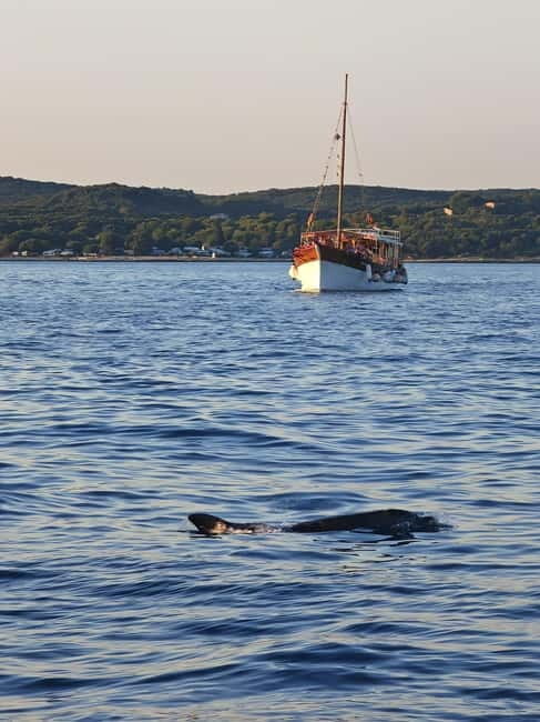 Rovinj: Fish picnic in Lim fjord and Red Island - A Closer Look at the Rovinj Fish Picnic Tour