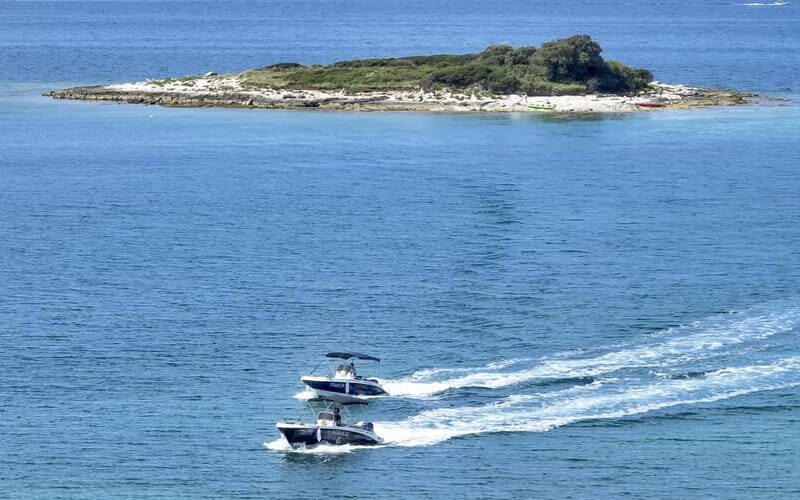 Rovinj or Vrsar: Rovinj Islands and Lim Fjord Speedboat Tour - Who Should Consider This Tour?