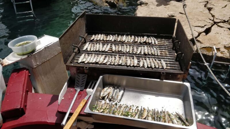 Rovinj: Red Island & Lim Fjord boat tour with BBQ & Swimming - Swimming, Sunbathing, and Optional Diving