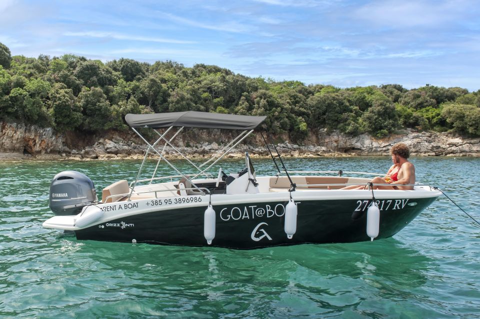 Rovinj: Rovinj Archipelago and South Coves Speedboat Tour - Customer Reviews and Ratings