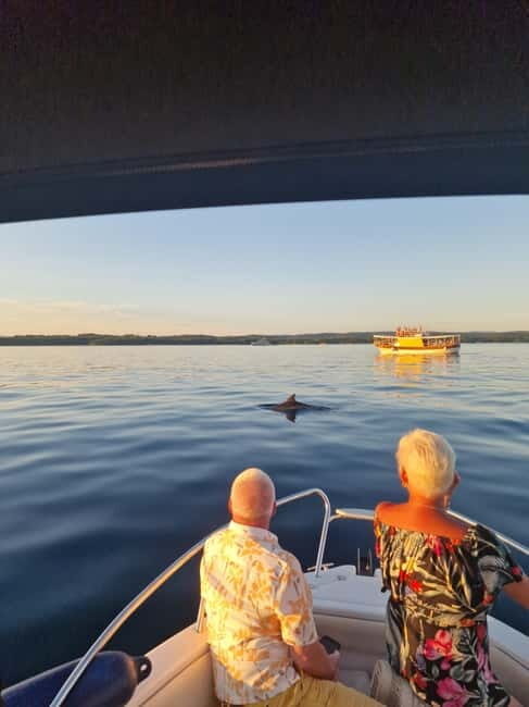 Rovinj: Shared Dolphin and Sunset Tour with Drinks - An In-Depth Look at the Rovinj Dolphin and Sunset Tour