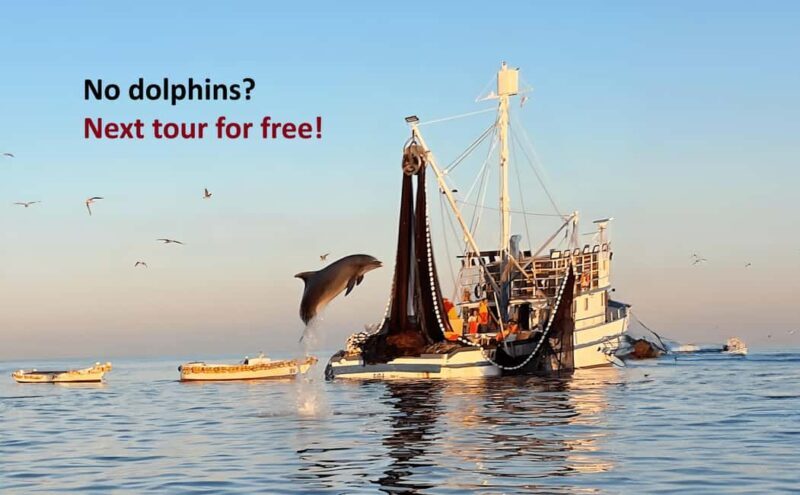 Rovinj: Sunrise Dolphins & Fishermen at Work Speedboat Tour - Key Points