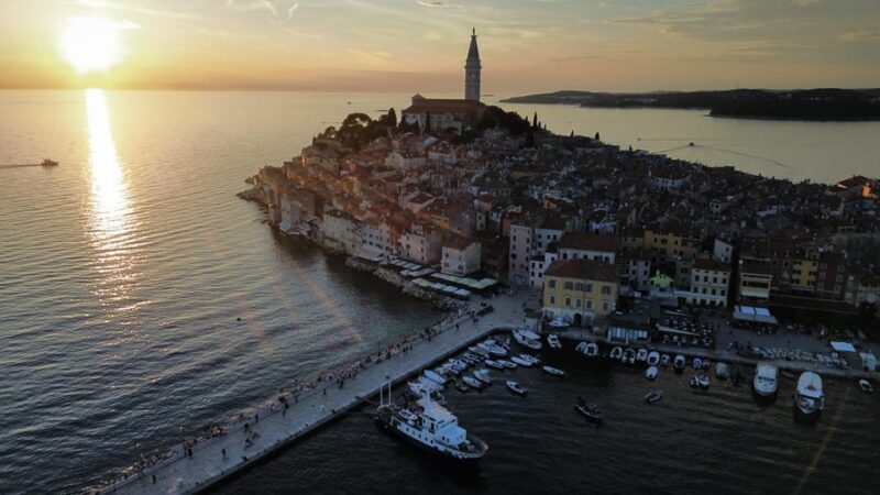Rovinj: Sunset Speedboat Tour With Dolphin Watching - Spotting Dolphins and Marine Life