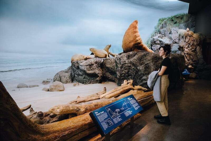 Royal B.C. Museum in Victoria: Full-Day Admission Ticket - Key Points