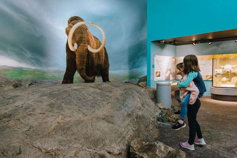 Royal B.C. Museum in Victoria: Full-Day Admission Ticket - Practical Tips for Your Visit