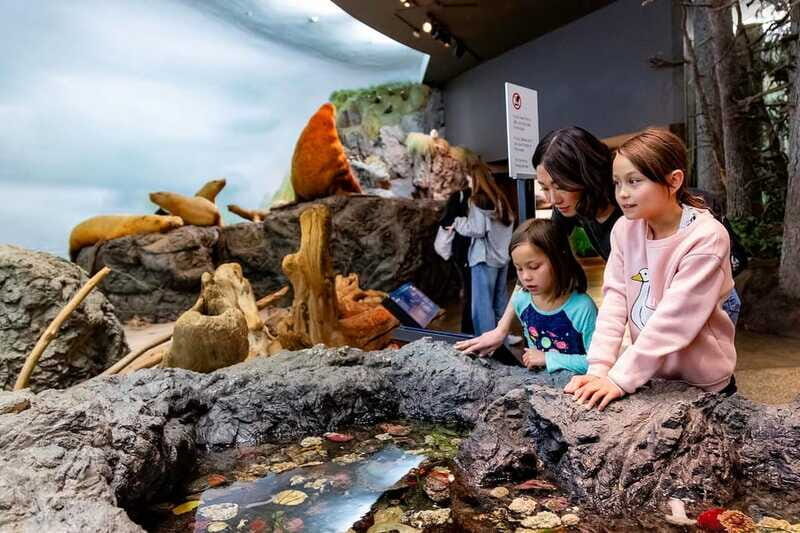 Royal B.C. Museum in Victoria: Full-Day Admission Ticket - FAQ