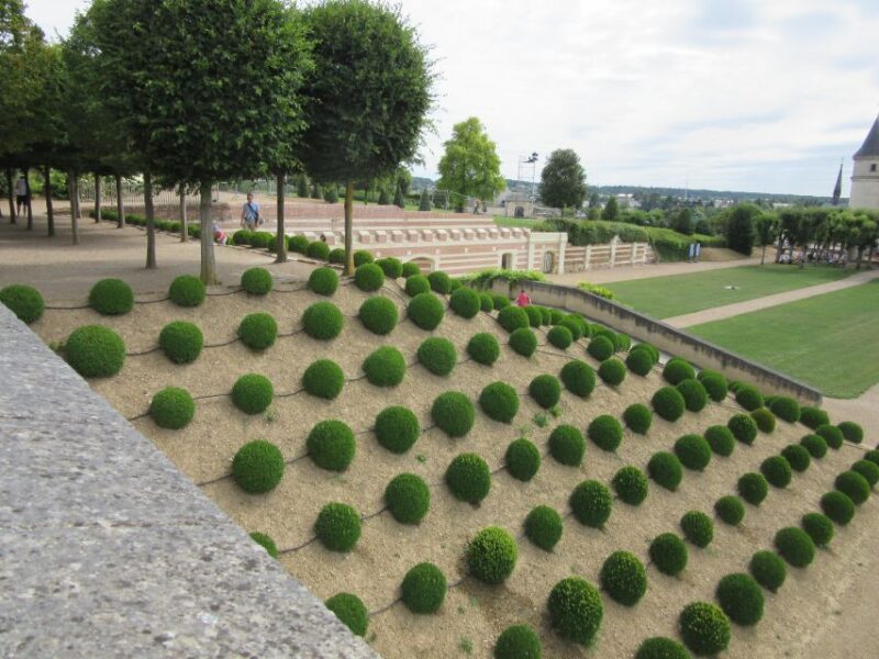 Royal Château of Amboise Private Tour With Entry Tickets - Available Languages