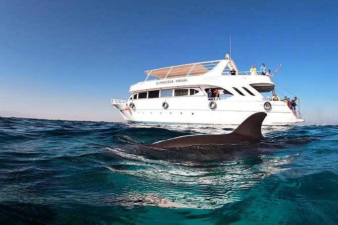 Royal Dolphin House Sea Trip Hurghada - Frequently Asked Questions