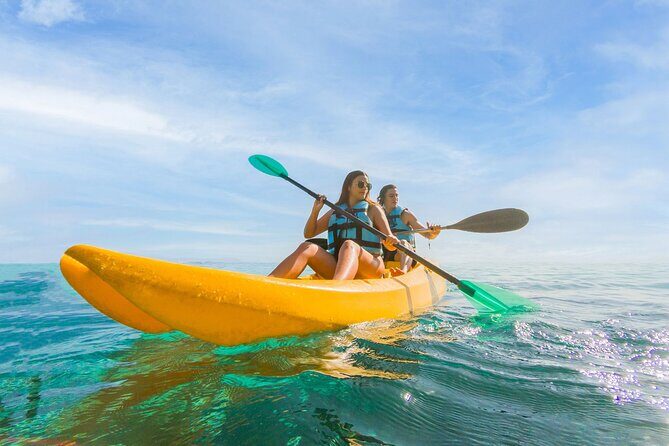 Royal Garragon with Dolphin Encounter in Isla Mujeres - An Overview of What to Expect