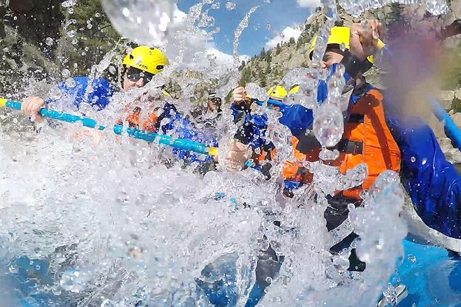 Royal Gorge Full Day Rafting - Navigating the Powerful Arkansas River