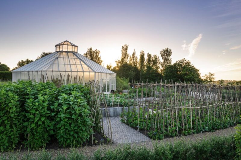 Royal Horticultural Society: Hyde Hall Garden Ticket - Panoramic Views and Tranquility