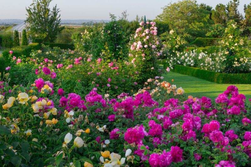 Royal Horticultural Society: Hyde Hall Garden Ticket - Visitor Duration and Accessibility