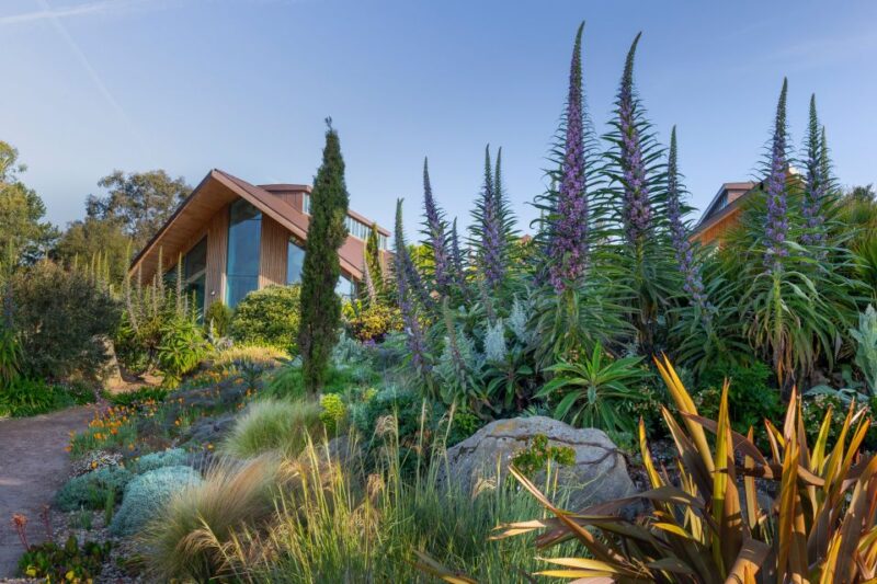 Royal Horticultural Society: Hyde Hall Garden Ticket - Preparation and On-Site Amenities