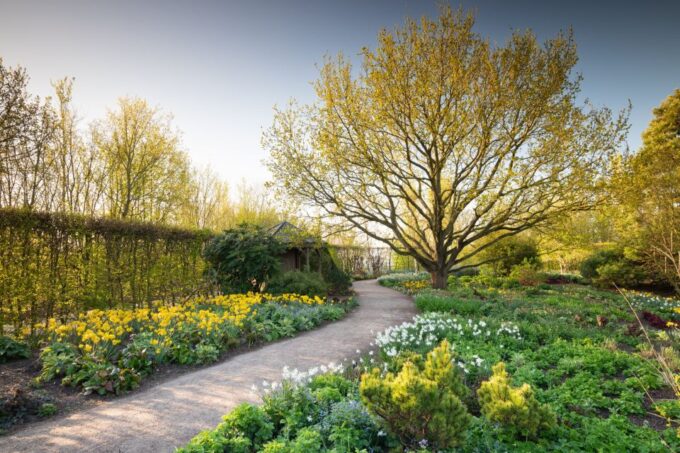 Royal Horticultural Society: Hyde Hall Garden Ticket - Audio Guide Inclusion