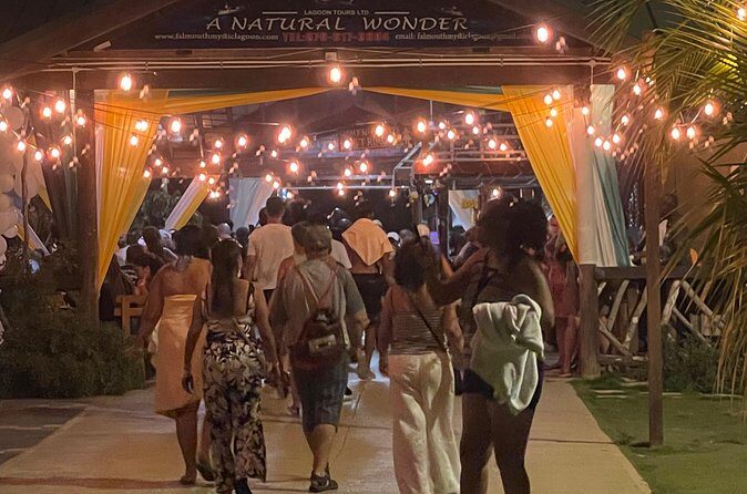 Royal Luminous Lagoon Tour - Who Should Consider This Tour?