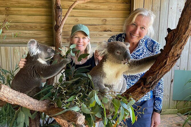 Royal National Park Hike, Swim and Wildlife Tour - Final Thoughts: Who Is This Tour Best For?