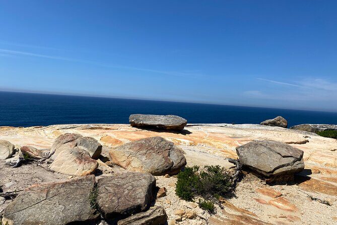 Royal National Park Wilderness Half-Day from Sydney with Picnic - Key Points
