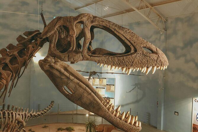 Royal Ontario Museum Toronto Tour with Skip-the-Line Tickets - Introduction to the Royal Ontario Museum Private Tour in Toronto