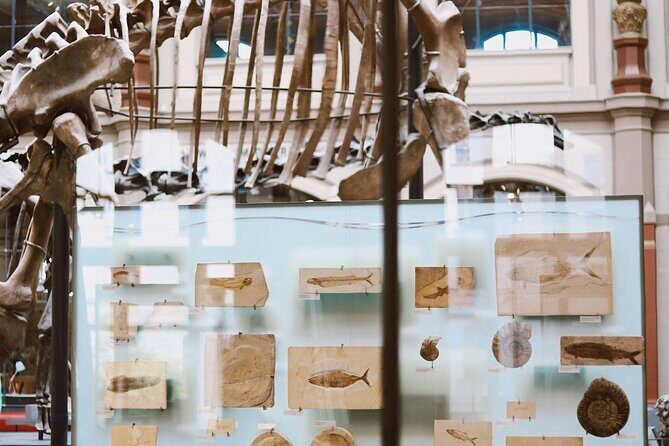 Royal Ontario Museum Toronto Tour with Skip-the-Line Tickets - Final Thoughts