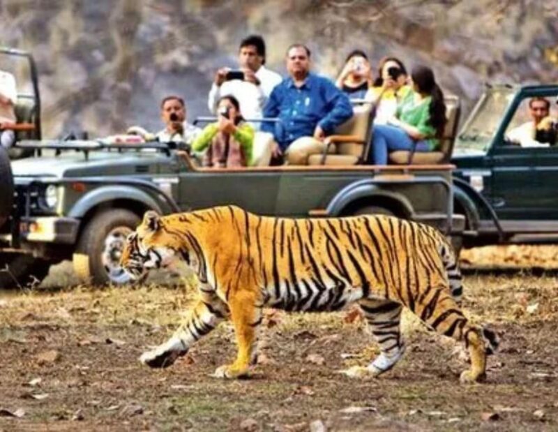 Royal Rajasthan Tour - A Cultural Experience of Rajasthan - Destinations Covered
