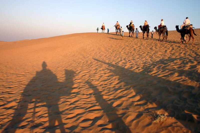 Royal Rajasthan Tour - A Cultural Experience of Rajasthan - Inclusions and Exclusions