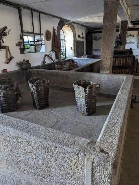 Royale Douro Valley powered by Luxury Mercedes - Visiting Small Family Wineries