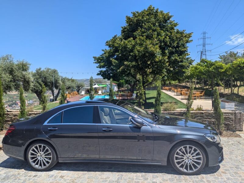 Royale Douro Valley powered by Luxury Mercedes - The Authentic Lunch: Farm-to-Table Delights