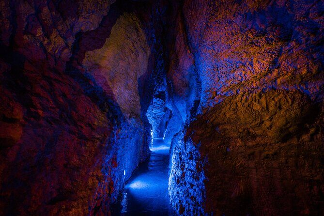 Ruakuri Cave and Hamilton Gardens Private Day Tour from Auckland - Why This Tour Offers Great Value