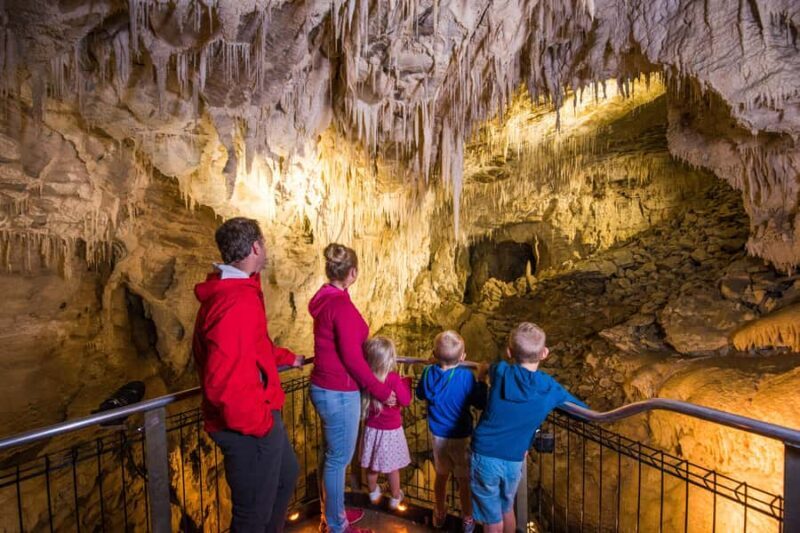 RUAKURI CAVE & HAMILTON GARDENS-PRIVATE TOUR FROM AUCKLAND - Key Points