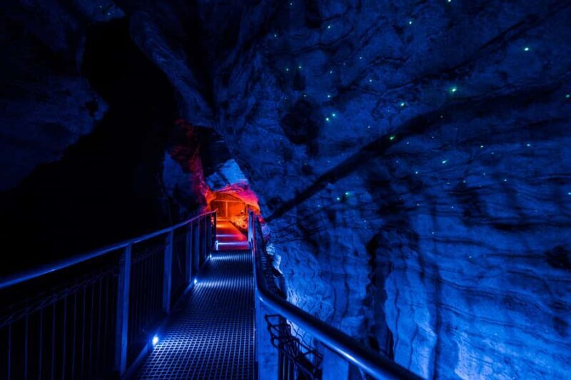 RUAKURI CAVE & HAMILTON GARDENS-PRIVATE TOUR FROM AUCKLAND - The Experience for Different Travelers
