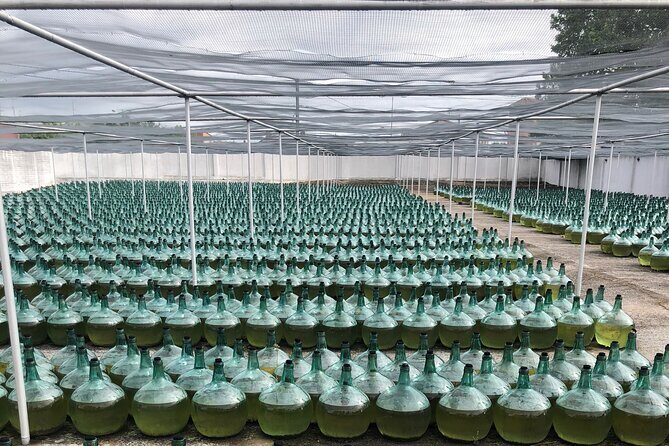 Rueda White Wine Tour with Michelin-Star Lunch from Madrid - Analyzing the Experience: A Step-by-Step Look