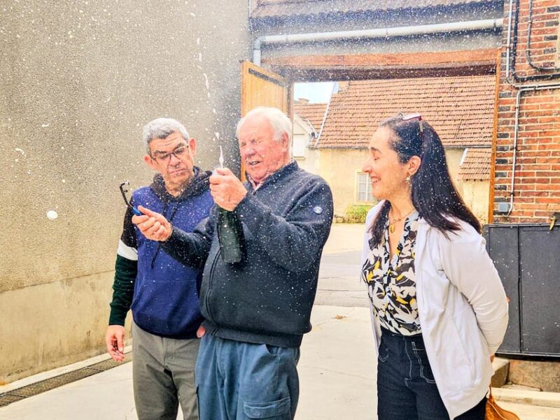 Ruinart Tasting and Fun Private Tour in Champagne - Itinerary and Highlights