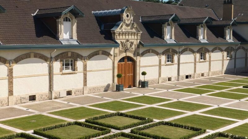 Ruinart Tasting and Fun Private Tour in Champagne - Transportation and Logistics