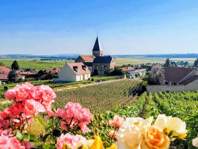 Ruinart Tasting and Fun Private Tour in Champagne - Reims Cathedral of Notre Dame Guided Tour