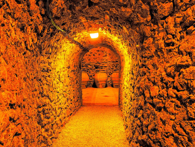 Ruinart Tasting and Fun Private Tour in Champagne - Visit to a Boutique Winery