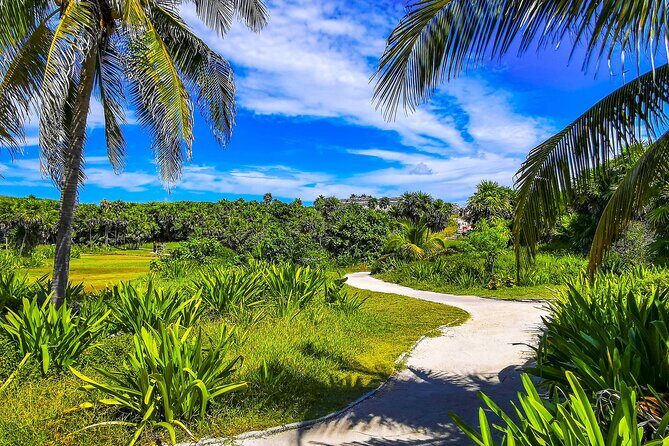 Ruins in Tulum Walking Tour with Audioguide (no ticket) - The Sum Up