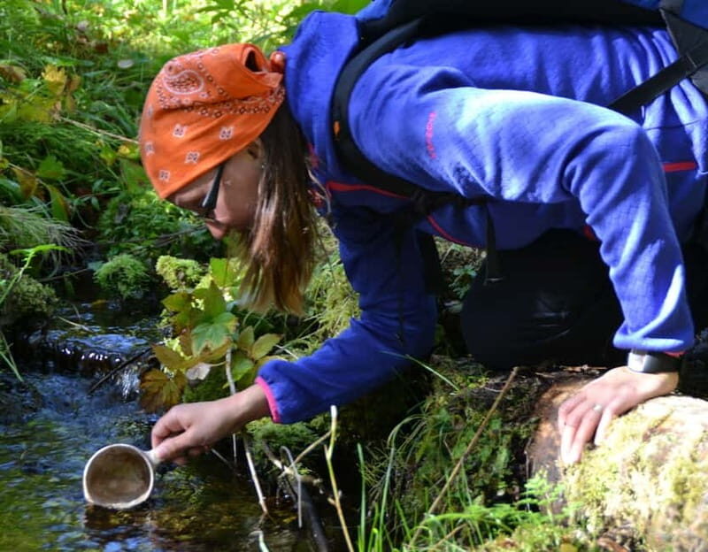 Ruka: Midnight sun hike to Valtavaara - Ruka: Midnight Sun Hike to Valtavaara – An Authentic Finnish Outdoor Experience