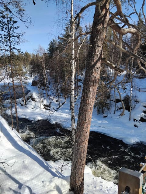 Ruka: Oulanka National Park Kìutaköngäs with lunch. - Ruka: Oulanka National Park Kìutaköngäs with lunch — A Deep Dive Into Authentic Finnish Wilderness