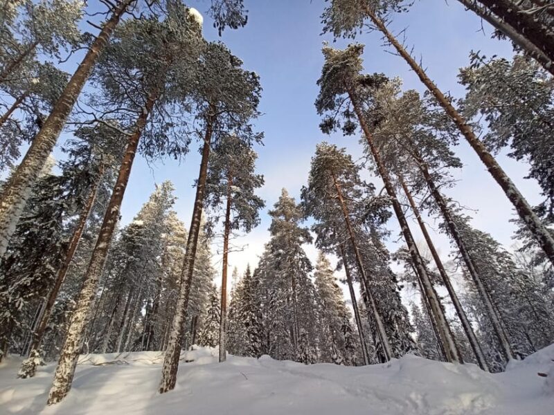 Ruka: Oulanka National Park Kìutaköngäs with lunch. - Why This Tour Works Well