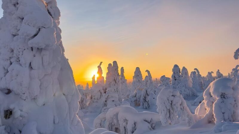 Ruka: Riisitunturi National Park with lunch. - Key Points