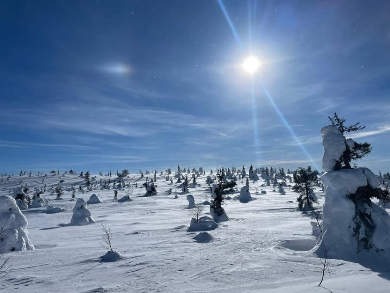Ruka: Riisitunturi National Park with lunch. - The Experience in Detail