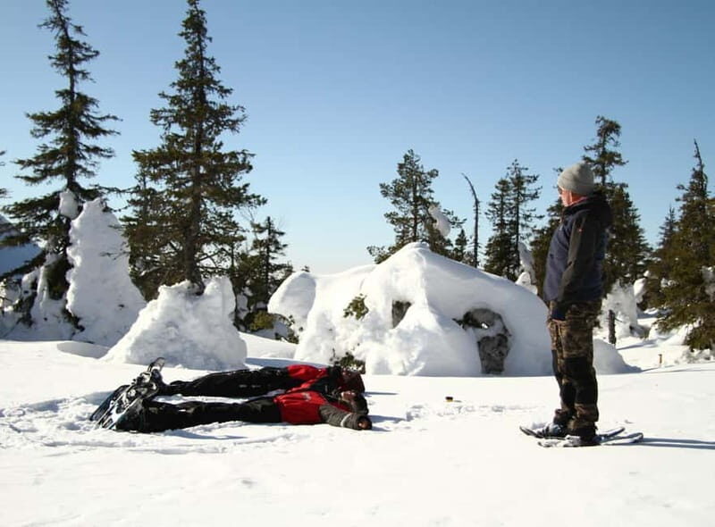 Ruka:Daytime winter wonderland hike - What Makes the Ruka Daytime Snowshoe Hike Special?