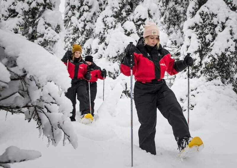 Ruka:Daytime winter wonderland hike - Included and Practical Details