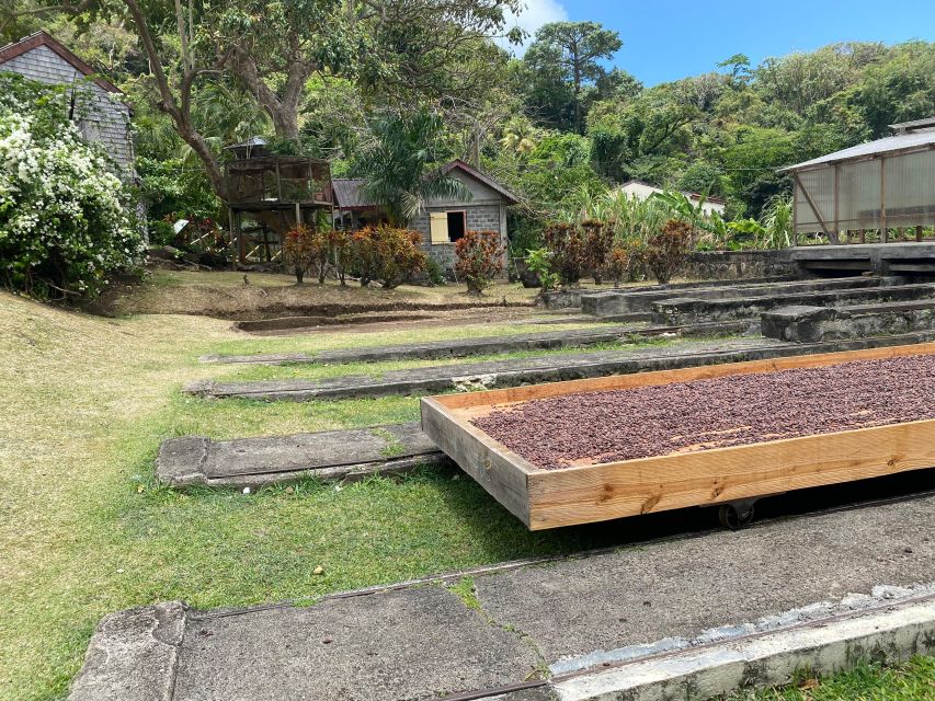 Rum and Chocolate Tour - Private Group Experience
