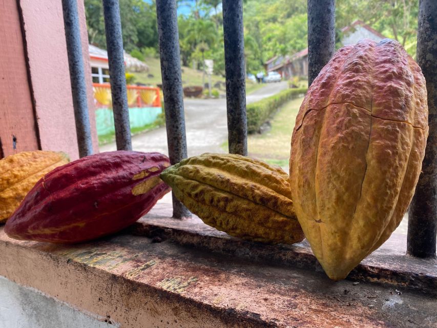 Rum and Chocolate Tour - Inclusions
